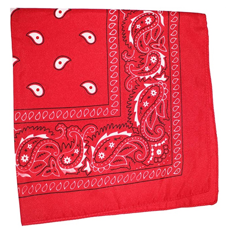 PB22 Paisely Bandana